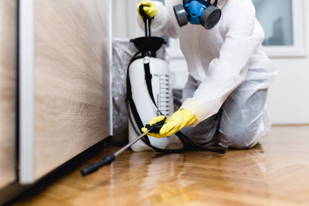 Best Affordable Pest Control Services  in Pandora, OH
