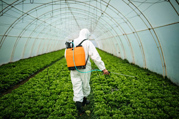 Best Pest Removal Services  in Pandora, OH