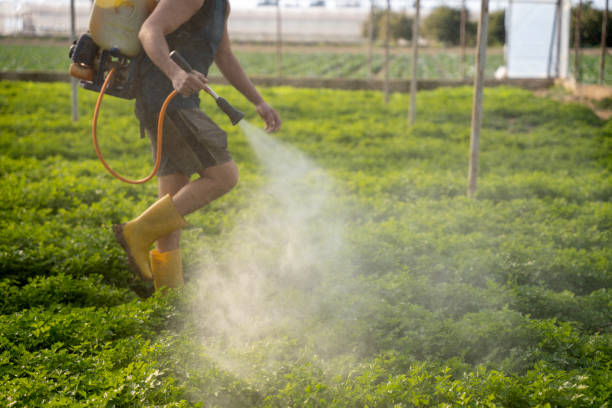 Best Best Pest Control Companies  in Pandora, OH