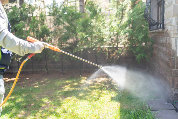 Best Termite Control Services  in Pandora, OH