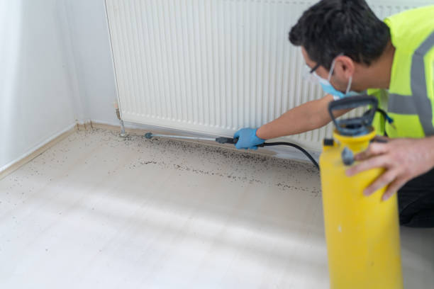 Best Residential Pest Control  in Pandora, OH